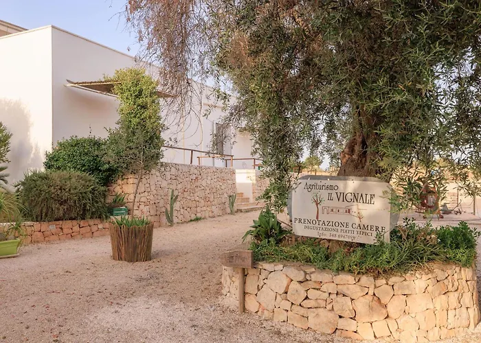 农家乐 Masseria Il Vignale 奥斯图尼